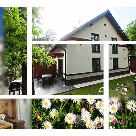 Daisy - Sunny Flowers Apartments Лукенцин Екстер'єр фото