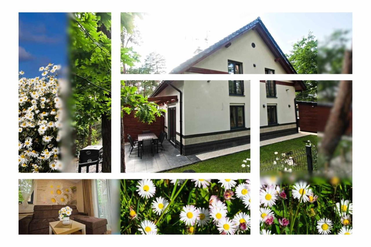 Daisy - Sunny Flowers Apartments Лукенцин Екстер'єр фото